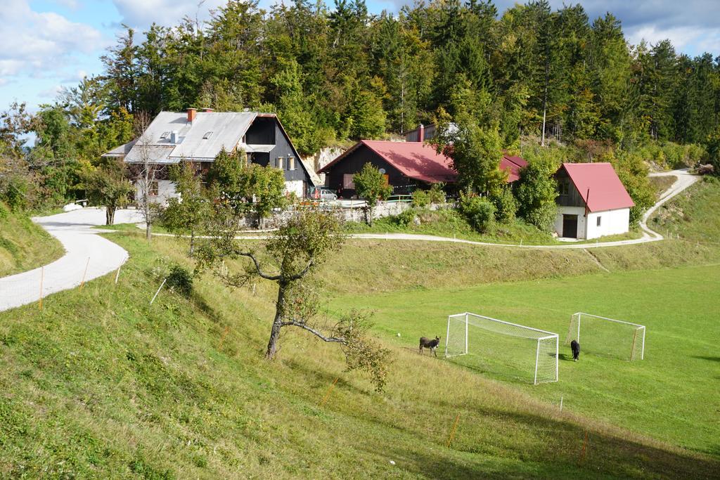 Guest House Beli Kamen Vojsko Exterior foto